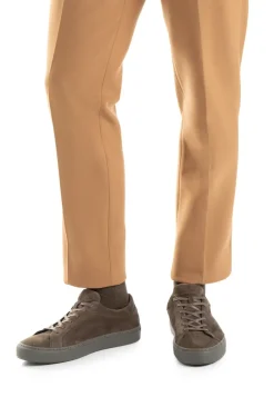 ARAN
