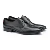LEONIS