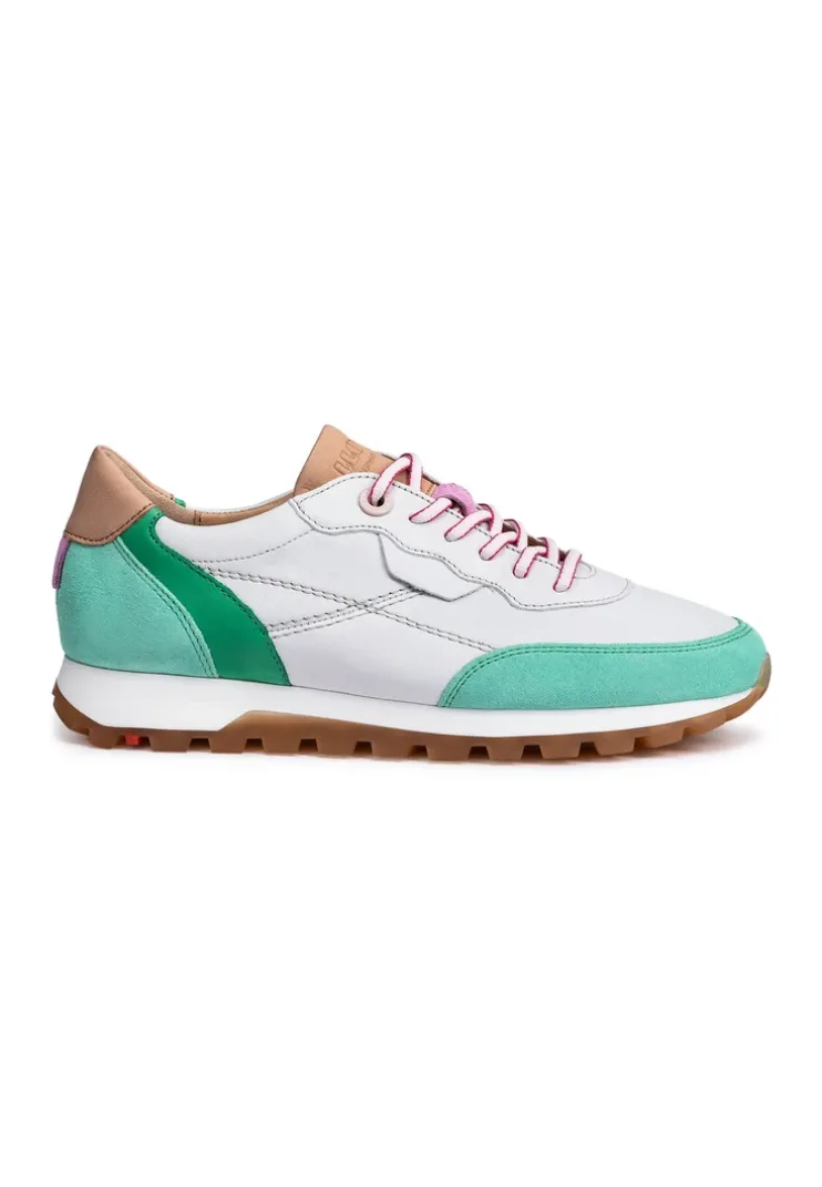 SNEAKER
