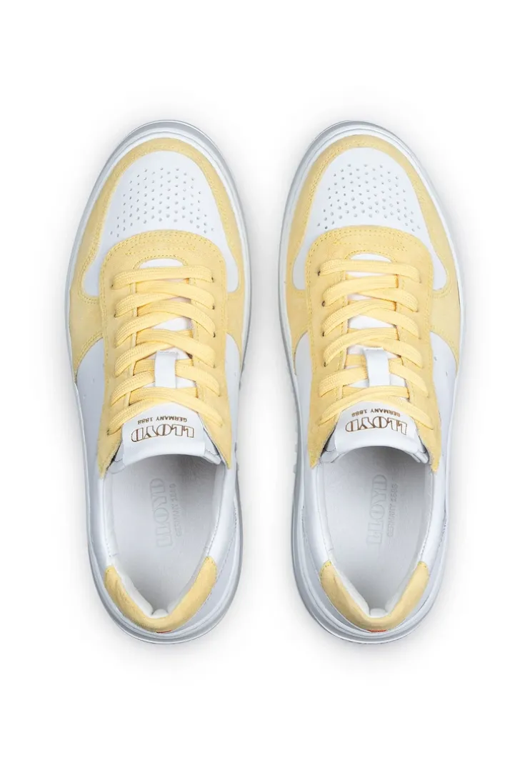 SNEAKER