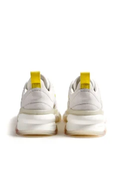 SNEAKER