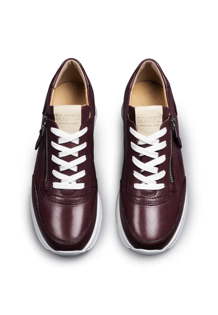 SNEAKER