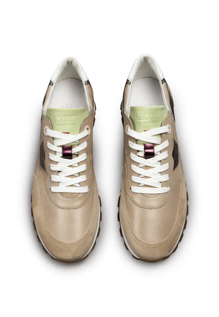 SNEAKER